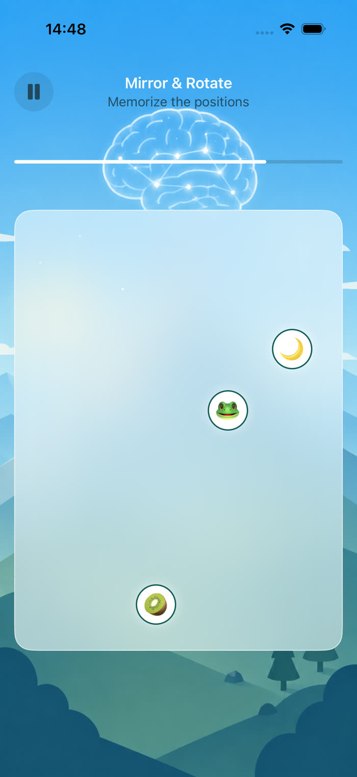 Mirror & Rotate — memorize