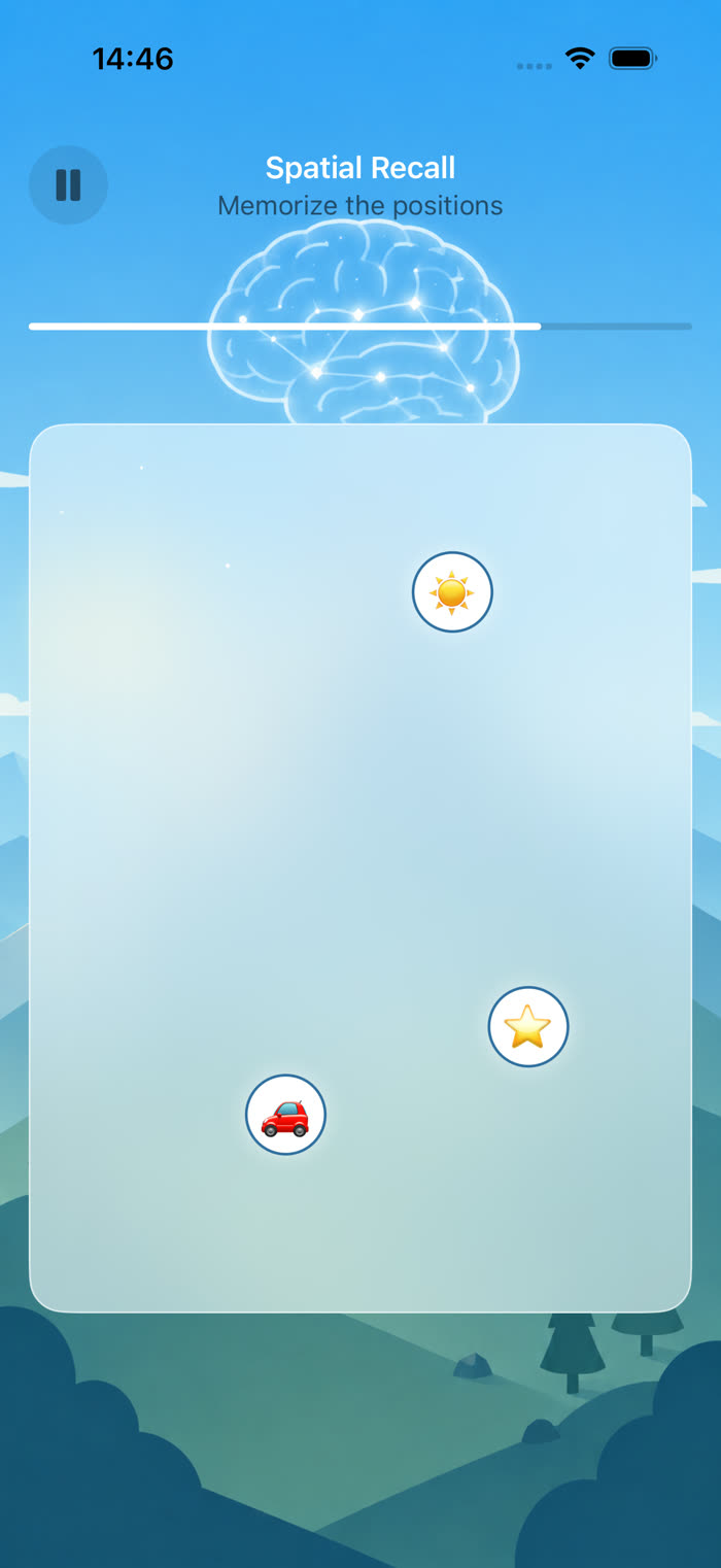 Spatial Recall — memorize